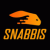 Snabbis Casino